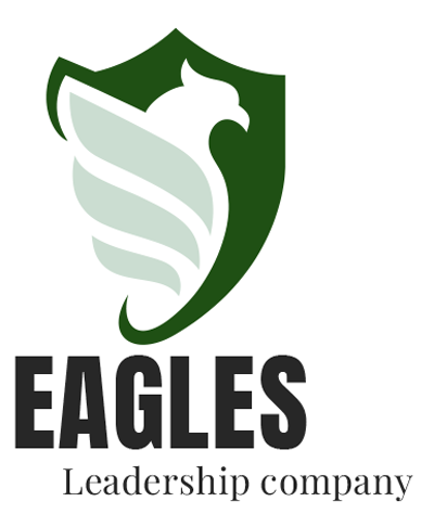 شركة نسور الريادة للتجارة العامة والنقل العام وتكنولوجيا المعلومات محدودة المسؤولية